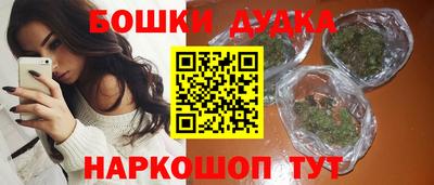 индика Ликино-Дулёво