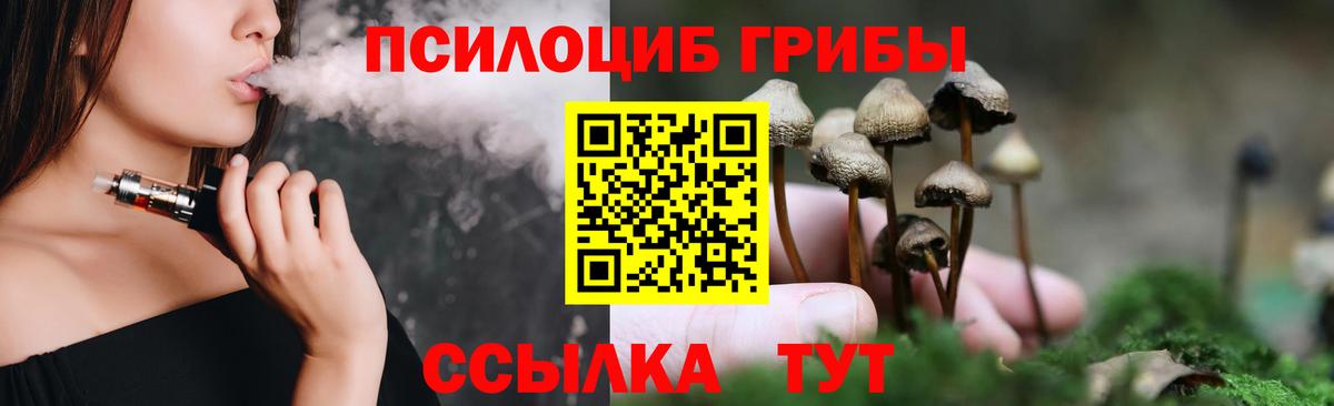 Псилоцибиновые грибы мицелий Ипатово